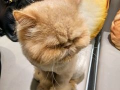 -小时光咖啡馆(开森度假森林店)