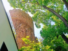 -J Create城市露营咖啡·简餐·宠物(上海动物园店)