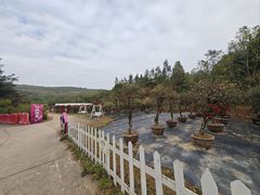 -盈香心动乐园