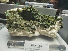 -湖南省地质博物馆