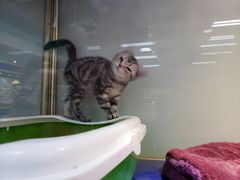 -乐宠宠物店(世纪金源店)