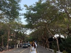 -厦门大学(思明校区)