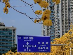 -洲头咀公园