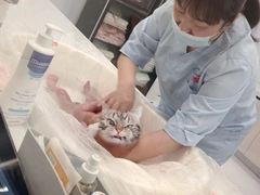 -优护佳月嫂育儿嫂中心(静安店)