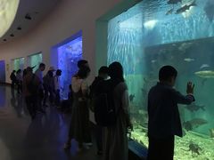 -上海长江河口科技馆