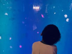 -华夏文旅西安度假区