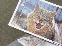 -青藏高原野生动物园