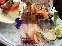 -古田居·特色寿司料理(星之岛旗舰店)