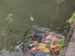 -天一阁博物院