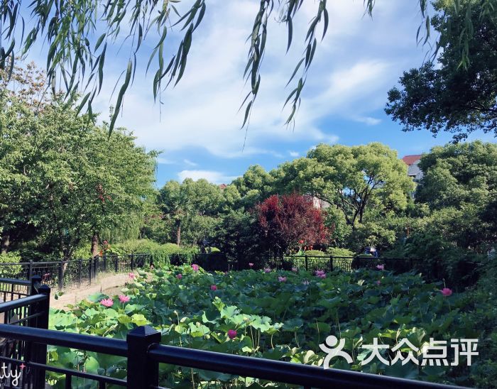 民星公园图片 - 第1张