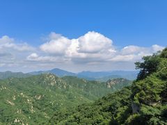 -大岭沟猕猴桃谷风景区