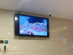 -直隶安家罩饼(复兴路店)