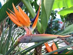 -国家植物园南园