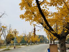 -龙潭水乡