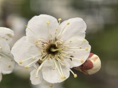 -宝岩生态观光园