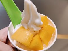 -Salud撒露欧洲冻酸奶(北苑上品店)
