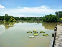 -大湾区中央湿地公园