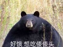 -和府捞面(曹路花园城店)