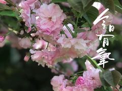 -南京奥林匹克体育中心