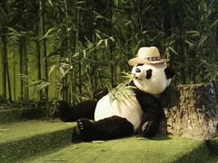 -成都泰迪熊博物馆