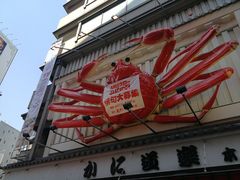 -蟹道乐(道顿堀本店)