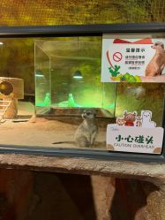 -酷嗒动物文化乐园(cutezoo西溪乐天城店)