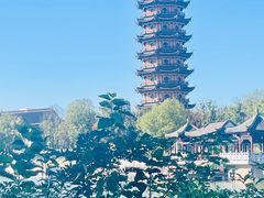 -葛仙湖公园
