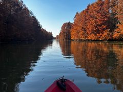-上海海湾国家森林公园