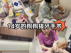 -美联众合动物医院·24h转诊中心