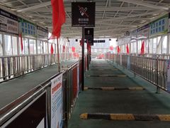 -武汉关码头(轮渡站)