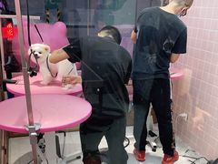 -FAELING PETS美天灵宠物(富力广场店)