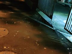 -沈师傅盲人按摩工作室(密三小区店)