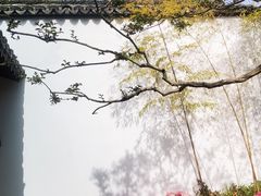 -上海醉白池公园