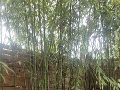 -麦积山温泉