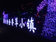 -大塘金香草谷