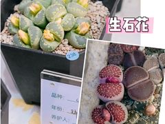 -瑞虹新天地月亮湾