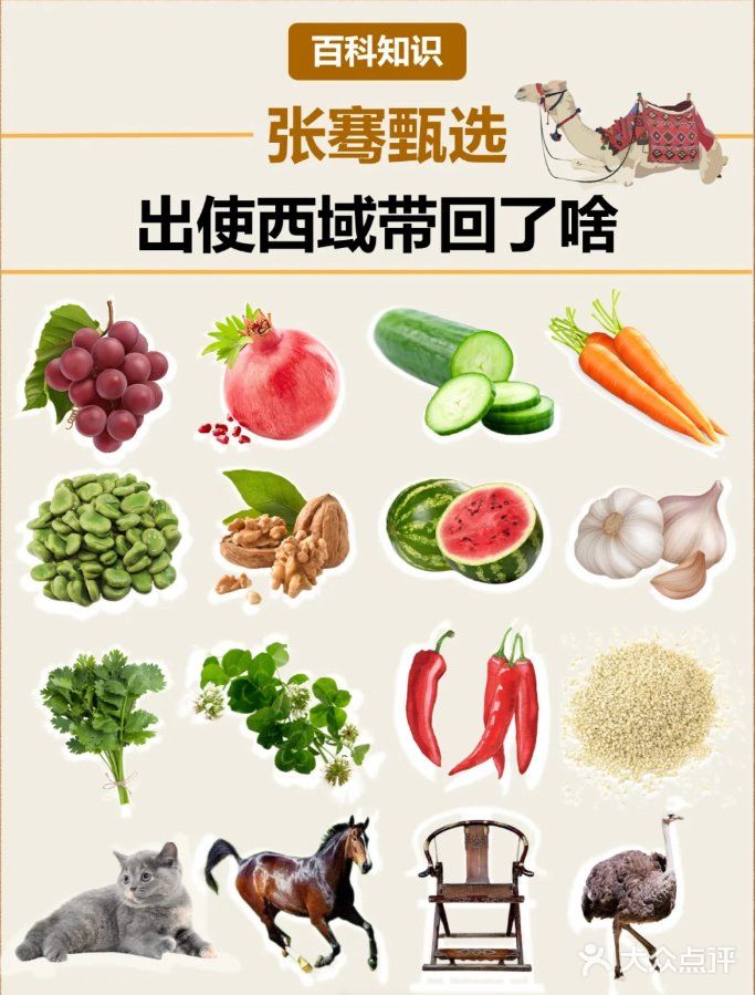 张骞出使西域，带回了哪些种子？🌿🌱 