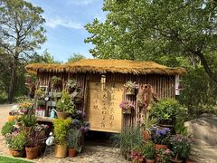 -沂蒙山旅游区龟蒙景区