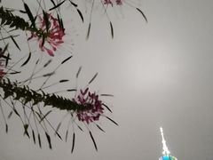 -海心沙亚运公园