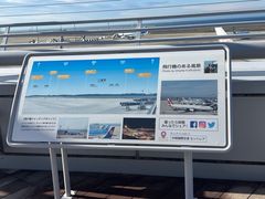 -中部国际机场