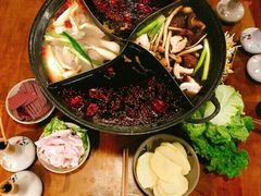 -白乐天毛肚火锅馆(南滨路店)