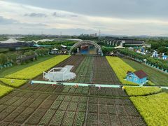 -广州花之恋城堡酒店
