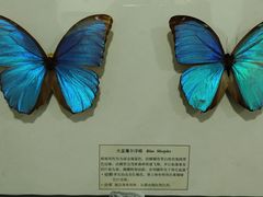 -沈阳植物园