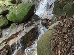 -火炉山森林公园