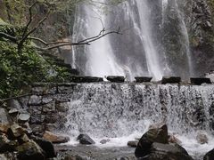-姑婆山旅游区