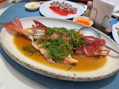 清蒸东星斑-大林苑世家精细潮州菜