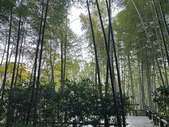 -天目湖御水温泉·度假酒店