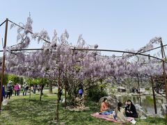 -南通洲际绿博园