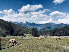 -硗碛藏寨·神木垒景区