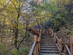 -大岭沟猕猴桃谷风景区